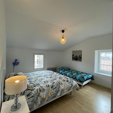 Superbe Appartement Avec 2 Chambres - 9 Personnes - Parking Prive Tournon-sur-Rhone Buitenkant foto