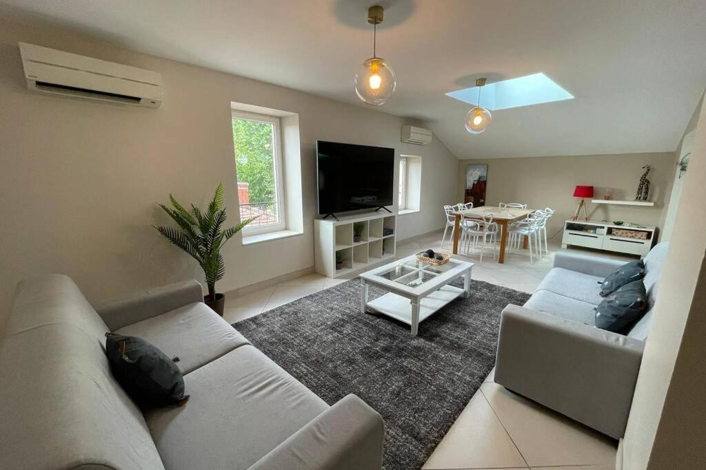 Superbe Appartement Avec 2 Chambres - 9 Personnes - Parking Prive Tournon-sur-Rhone Buitenkant foto